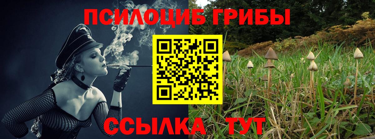 Галлюциногенные грибы Cubensis  Псилоцибиновые грибы Magic Shrooms  Вход с VPN  купить наркотики сайты  Малоярославец 